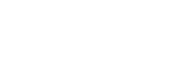 Investor