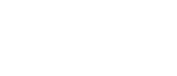 Investor