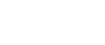 Investor