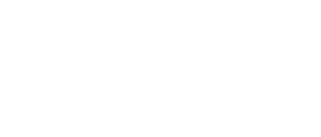 Investor