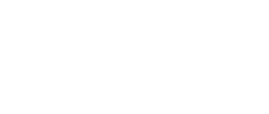 Investor